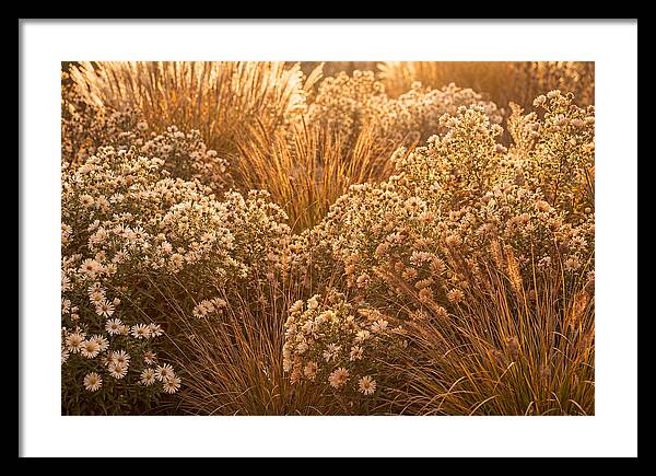 Autumn Garden Serenity