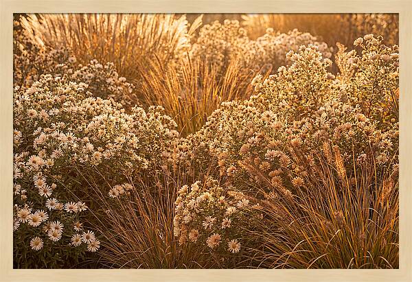 Autumn Garden Serenity