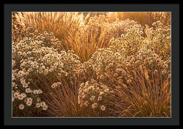 Autumn Garden Serenity