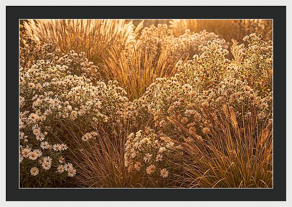 Autumn Garden Serenity