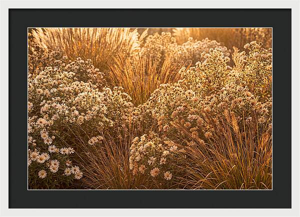 Autumn Garden Serenity