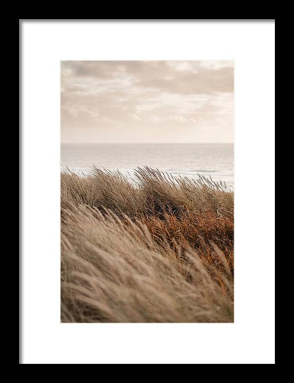 Autumn Grasses Turning Bronze