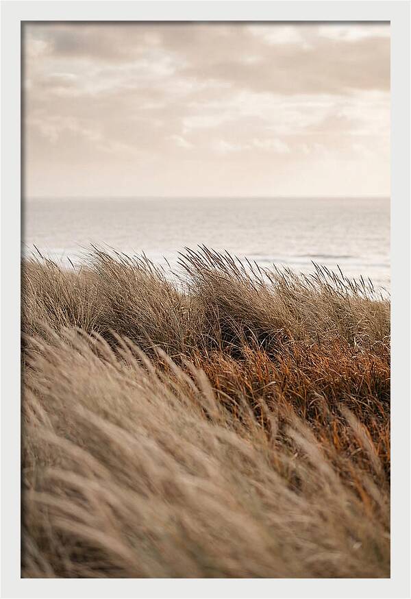 Autumn Grasses Turning Bronze