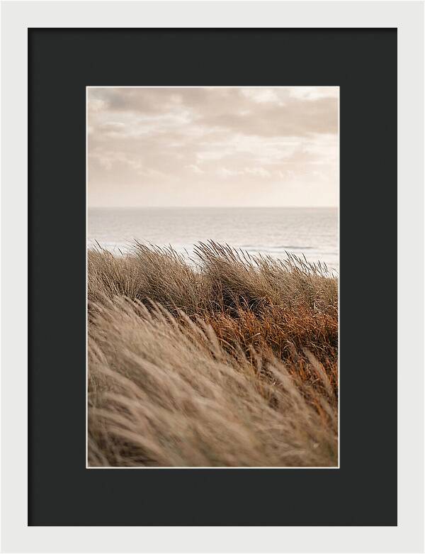 Autumn Grasses Turning Bronze