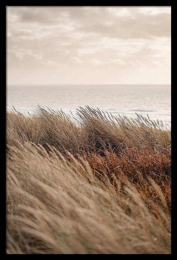 Autumn Grasses Turning Bronze