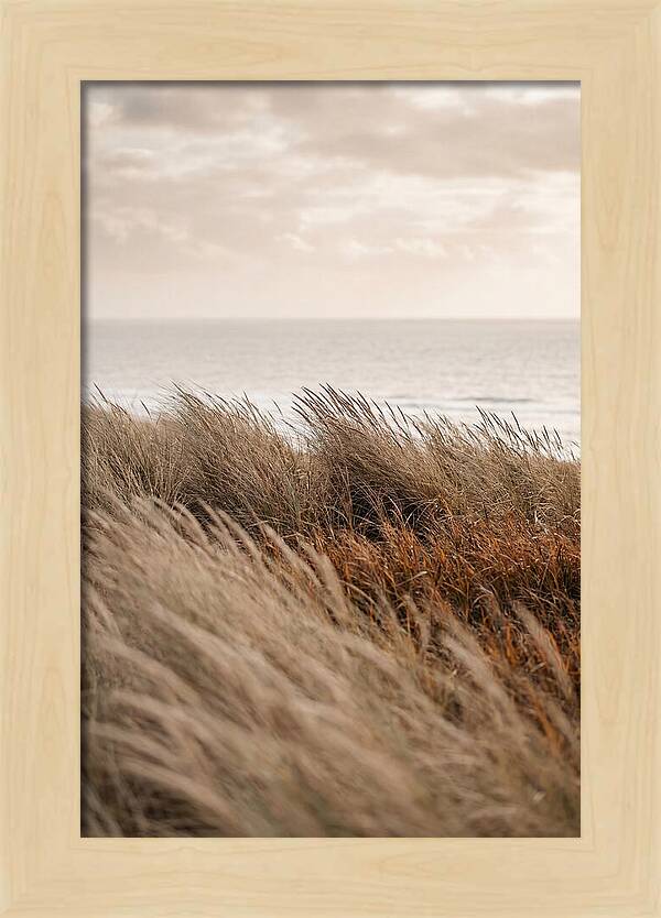 Autumn Grasses Turning Bronze