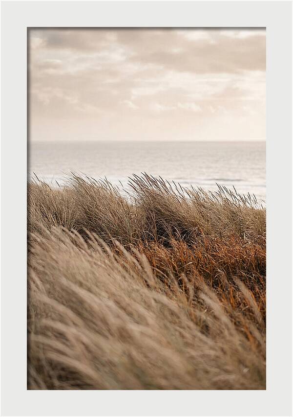 Autumn Grasses Turning Bronze
