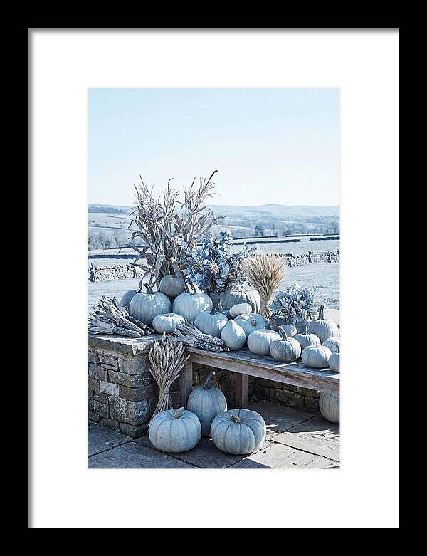 Autumn Harvest Spread