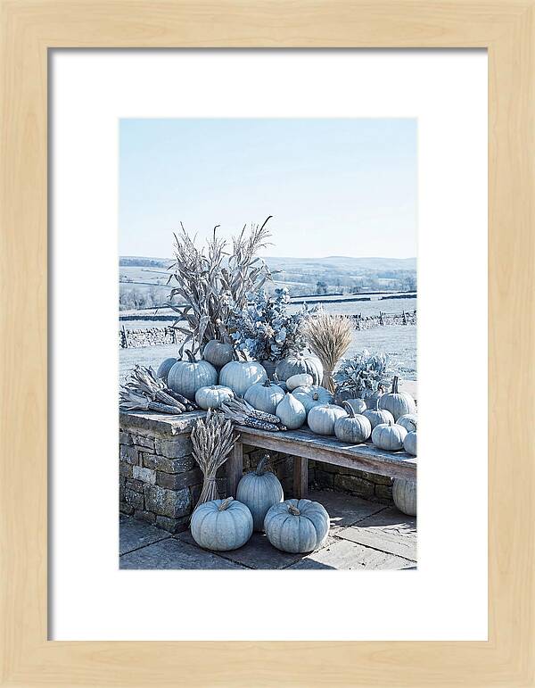 Autumn Harvest Spread