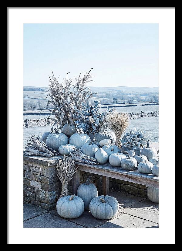 Autumn Harvest Spread
