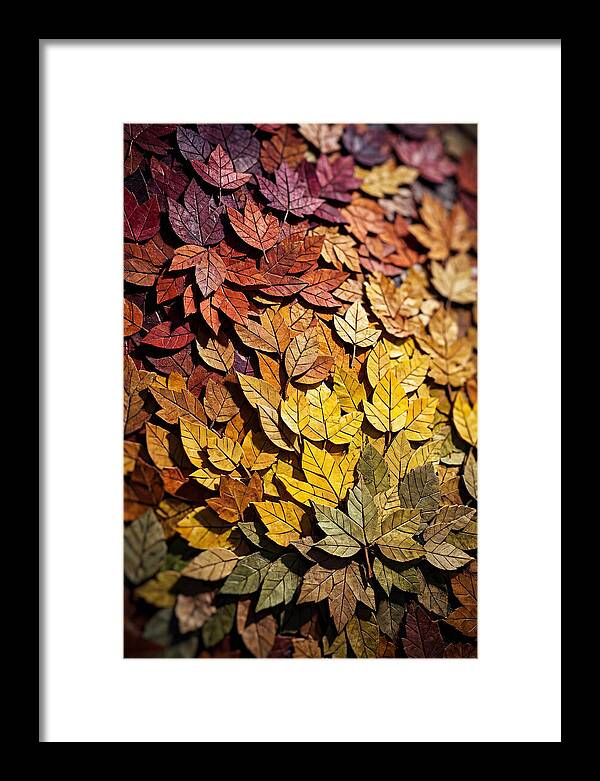 Autumn Leaf Mosaic