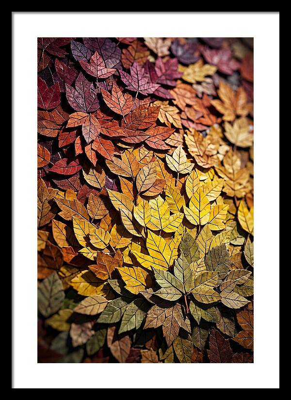 Autumn Leaf Mosaic
