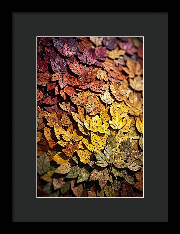 Autumn Leaf Mosaic