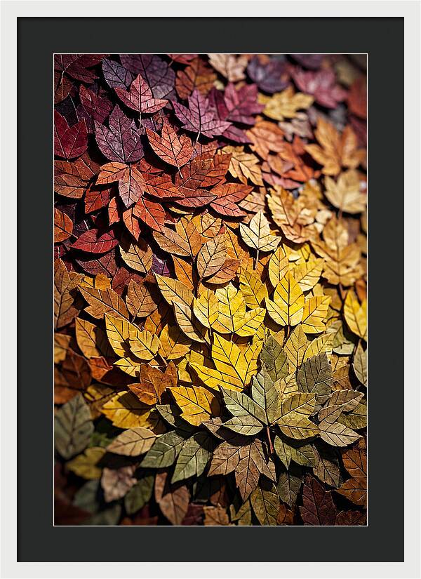 Autumn Leaf Mosaic