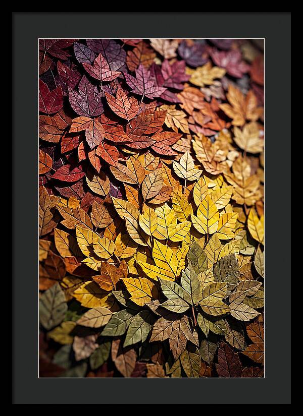 Autumn Leaf Mosaic