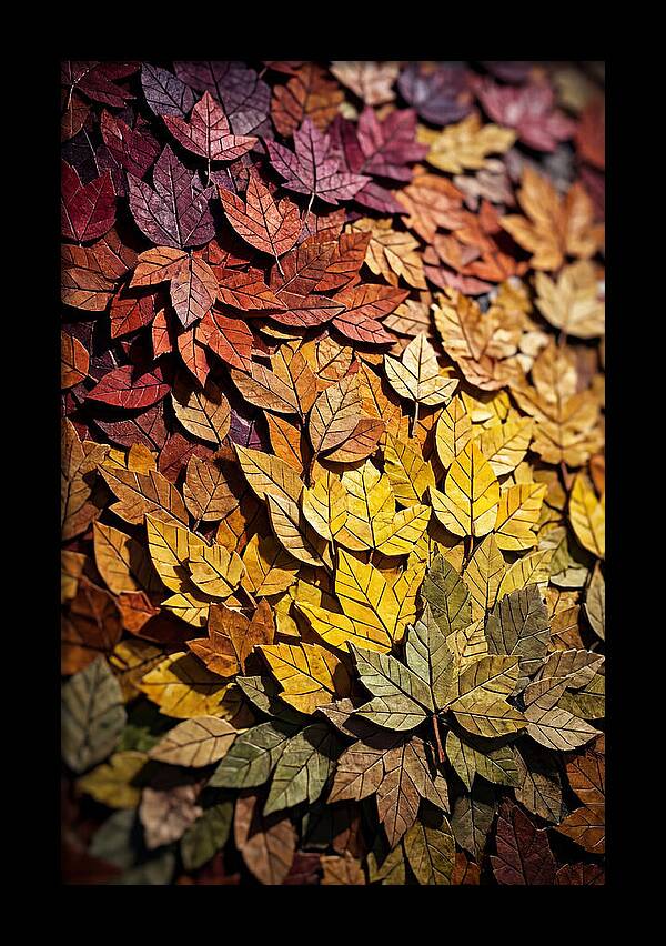Autumn Leaf Mosaic