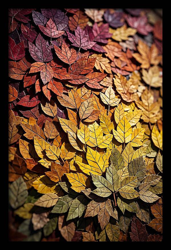 Autumn Leaf Mosaic