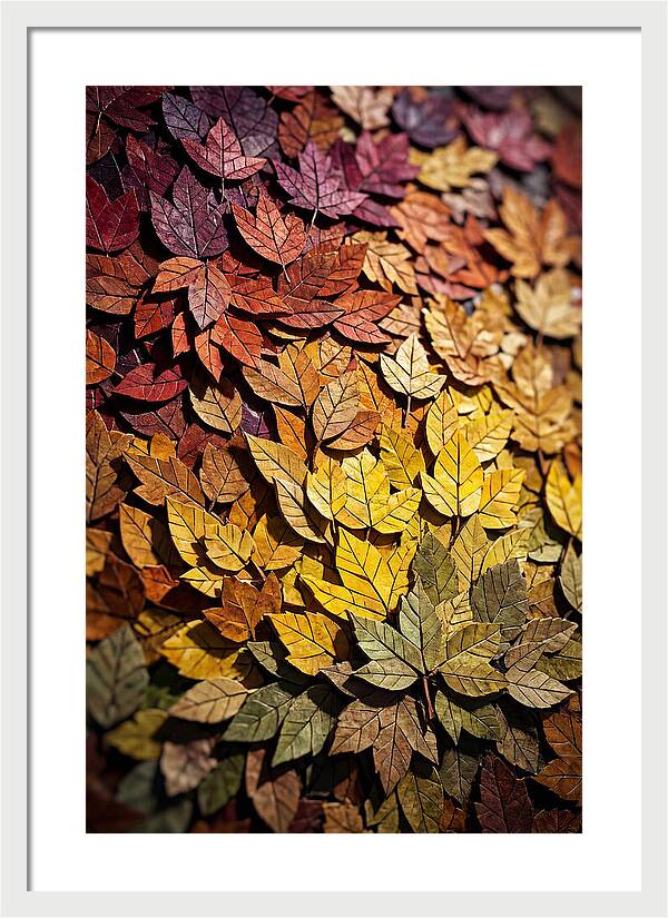 Autumn Leaf Mosaic