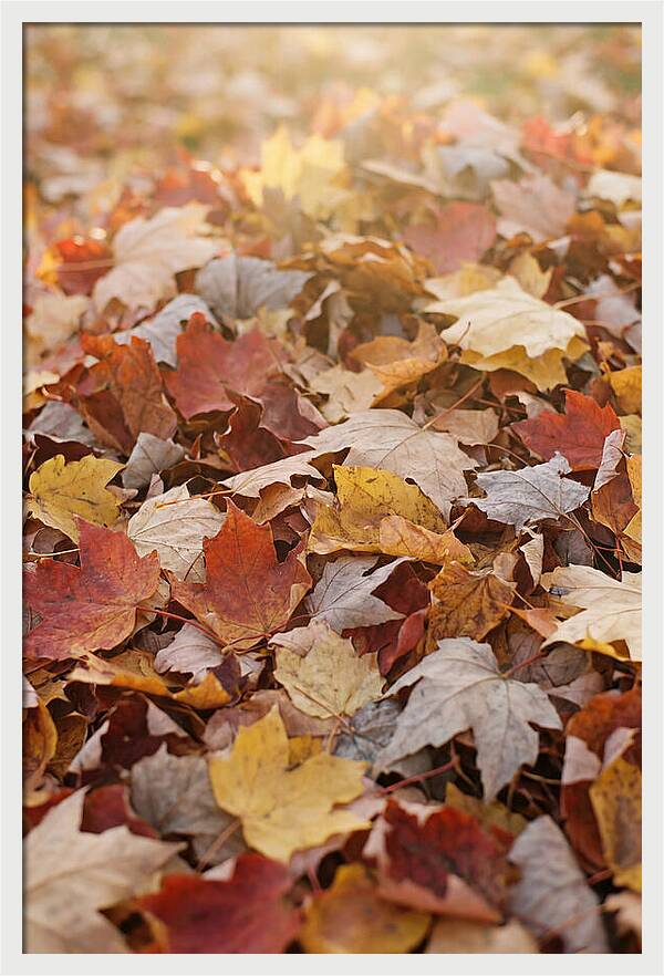 Autumn Leaf Pile Abstract