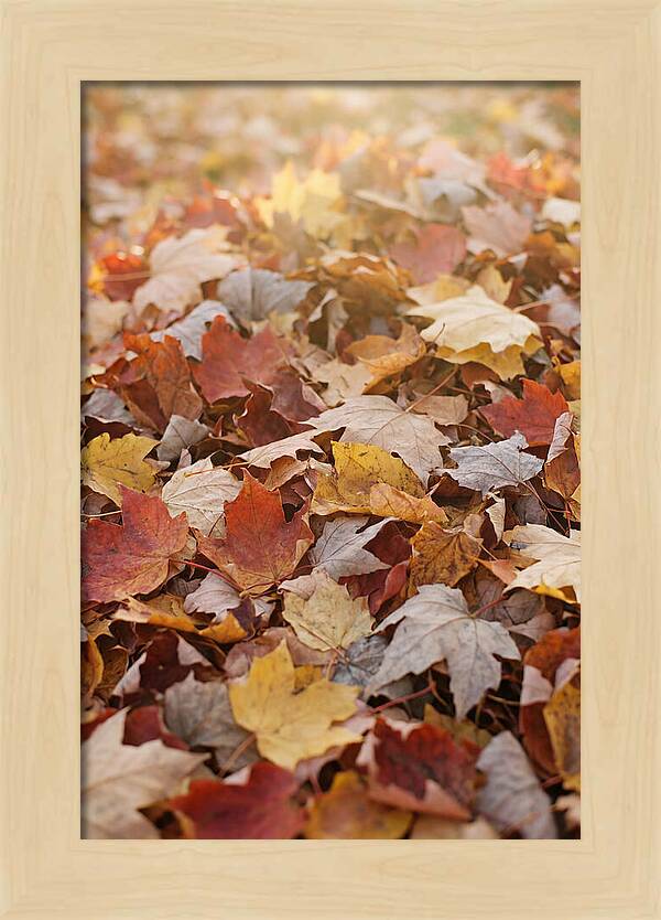 Autumn Leaf Pile Abstract