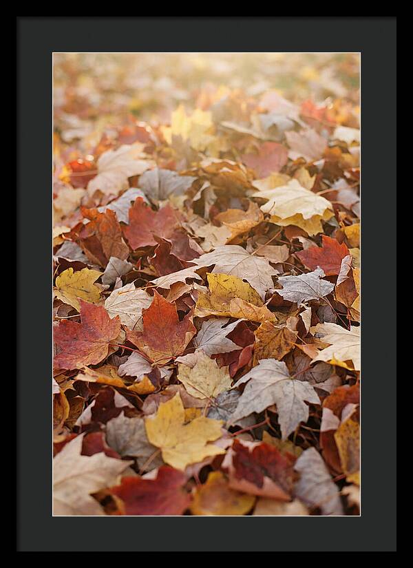 Autumn Leaf Pile Abstract