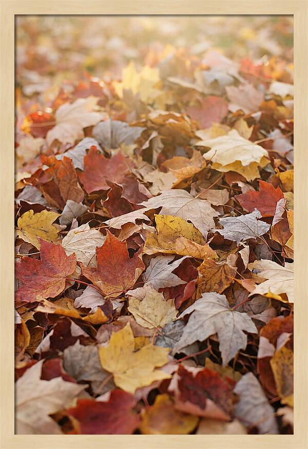Autumn Leaf Pile Abstract