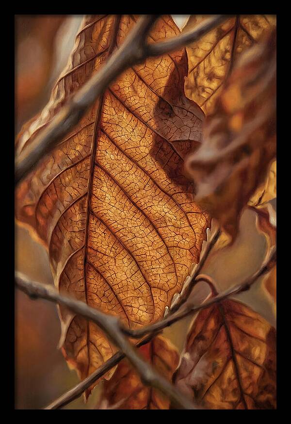 Autumn Leaf Veins In Macro