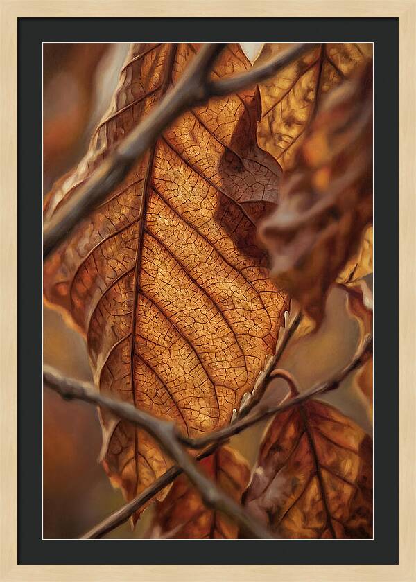 Autumn Leaf Veins In Macro