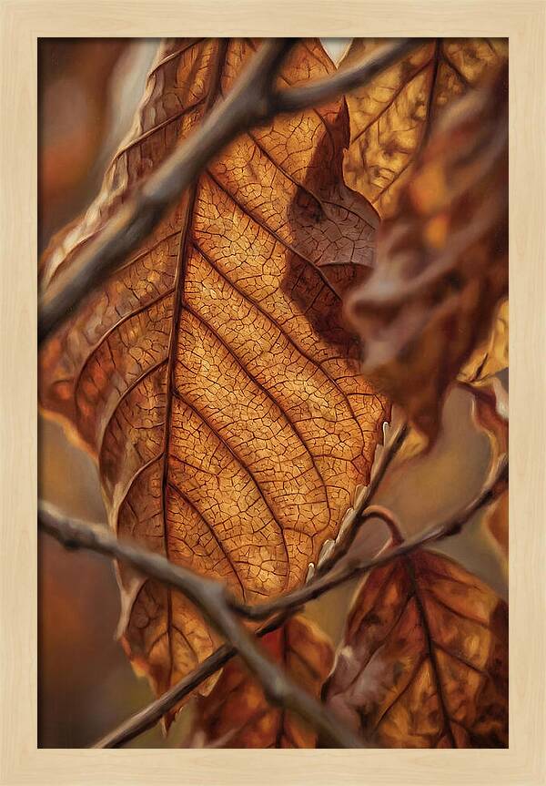 Autumn Leaf Veins In Macro