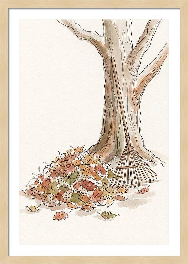 Autumn Leaves And Rake