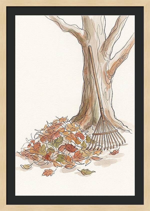 Autumn Leaves And Rake