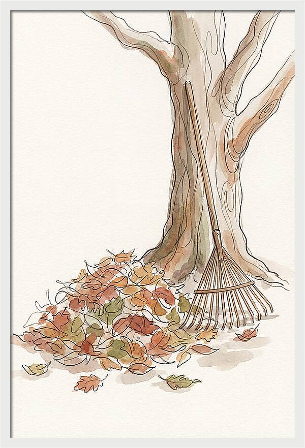 Autumn Leaves And Rake