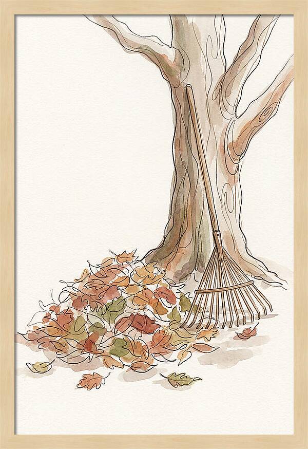 Autumn Leaves And Rake