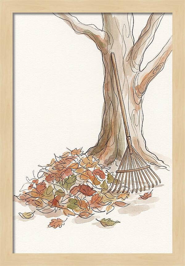 Autumn Leaves And Rake