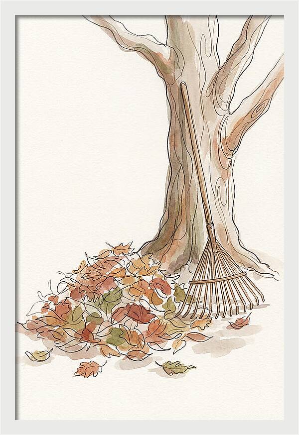 Autumn Leaves And Rake