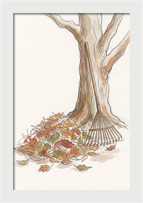Autumn Leaves And Rake