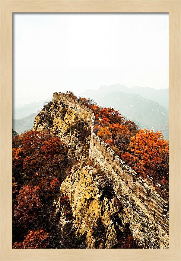Autumn Majesty Of The Great Wall