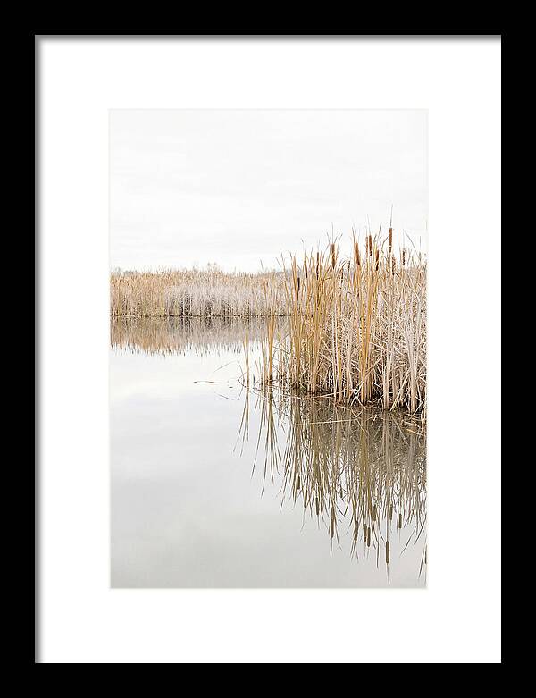 Autumn Marsh Reflections