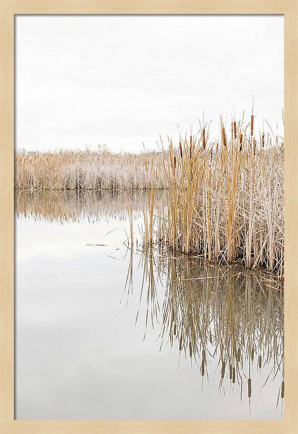 Autumn Marsh Reflections
