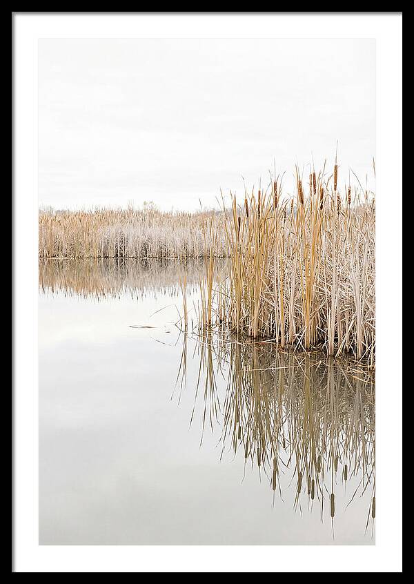 Autumn Marsh Reflections