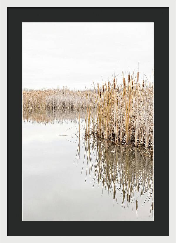 Autumn Marsh Reflections