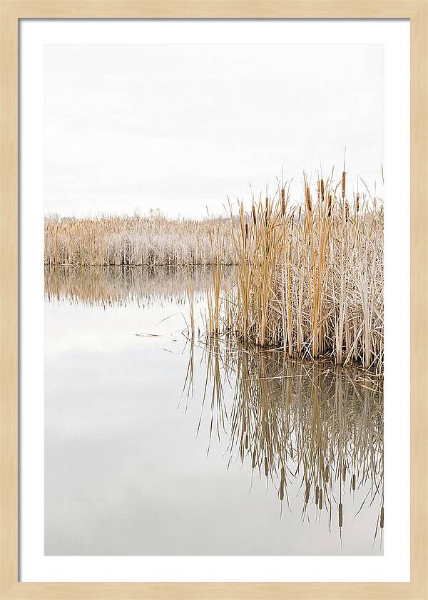 Autumn Marsh Reflections