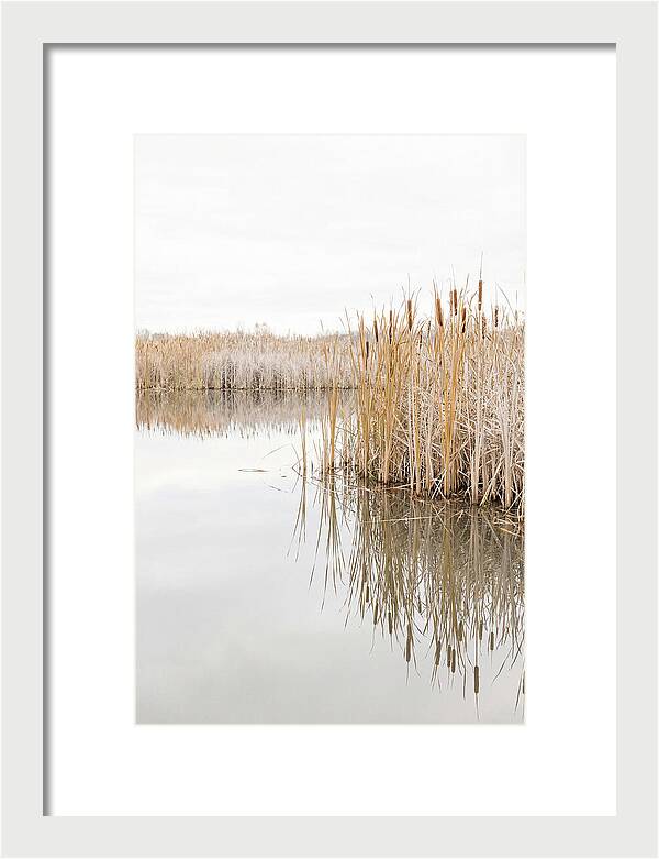 Autumn Marsh Reflections