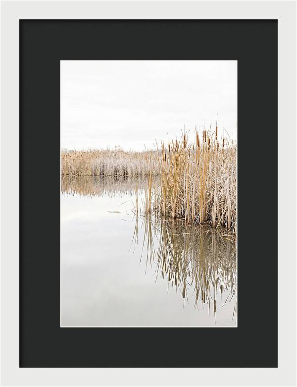 Autumn Marsh Reflections