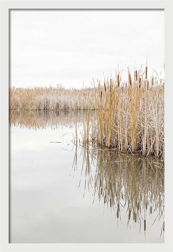 Autumn Marsh Reflections