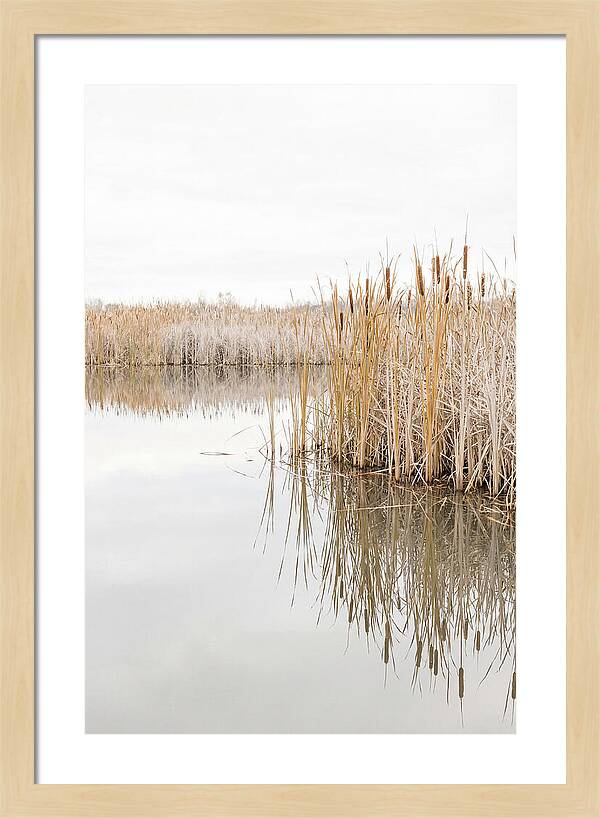 Autumn Marsh Reflections