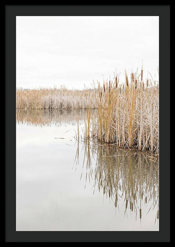 Autumn Marsh Reflections