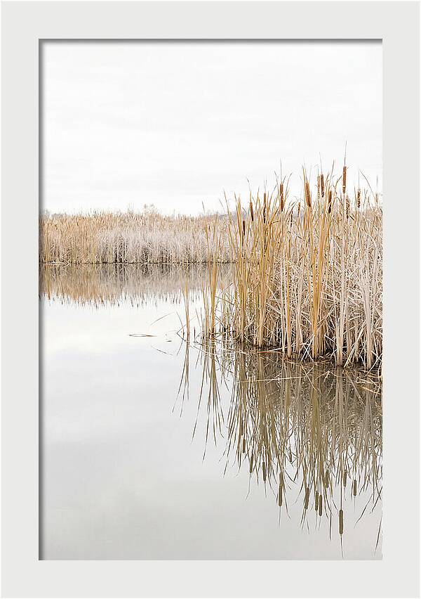 Autumn Marsh Reflections