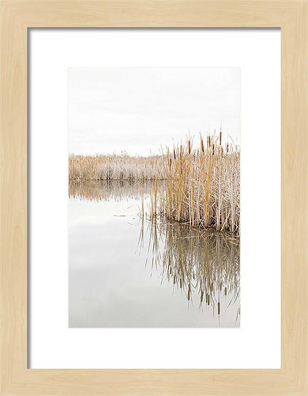 Autumn Marsh Reflections