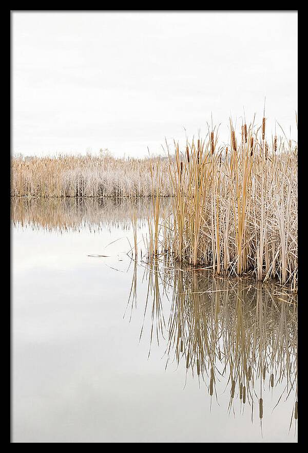 Autumn Marsh Reflections